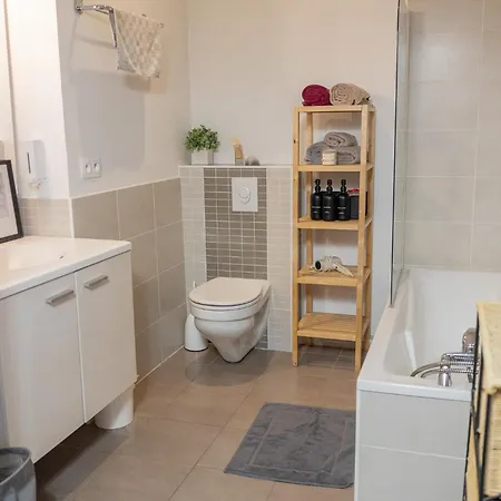 Apartment Center Duplex Loft Colmar