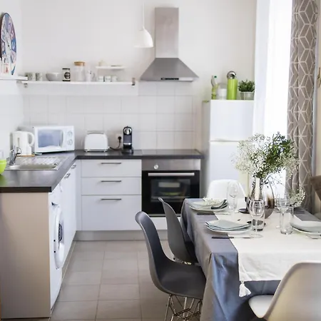 Center Duplex Loft Apartment Colmar