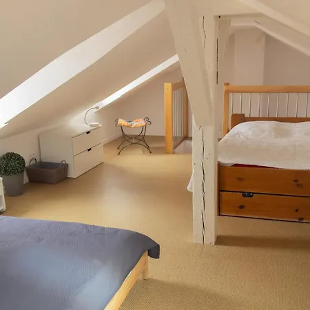 Center Duplex Loft Apartment